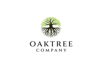 Oak Tree Togo Logo Design, Tree and Root Vector. Tree of life logo des