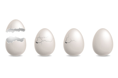 Cracked egg. Realistic chicken while eggshells. Hatching sequence step