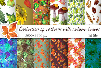 Autumn Watercolor Digital Papers, Fall Leaves, mushrooms