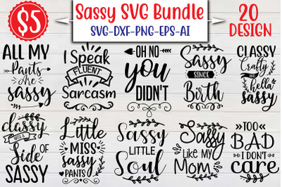 Sassy SVG Bundle cut file