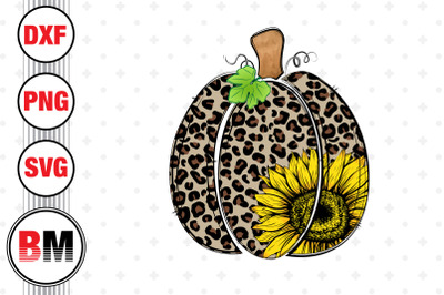 Hand Drawn Pumpkin Sunflower PNG Files