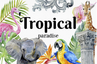 Tropical paradise. 21 watercolor elements