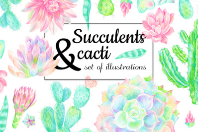 Succulents and cacti in colored pencils