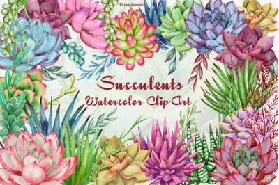 Succulents Watercolor Clipart