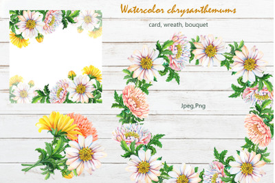 Watercolor chrysanthemum.
