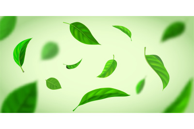 Realistic background with green tea leaves flying in wind. Nature fres