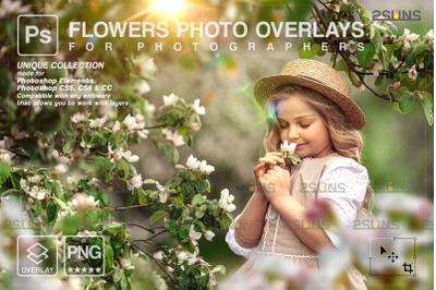 Flower overlay &amp; Photoshop overlay, Floral digital backdrop
