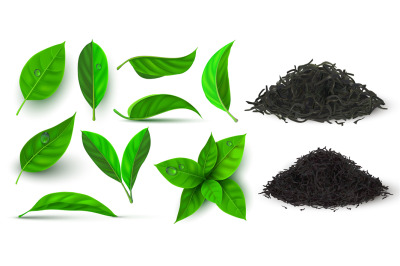 Realistic dry and fresh leaves for black and green tea. 3d herbal leaf