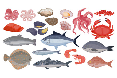 Fresh raw ocean and sea fish, tuna, salmon and herring. Cartoon seafoo