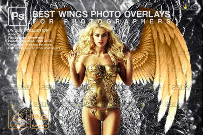 Gold angel wings overlay &amp; Photoshop overlay: Angel wings png