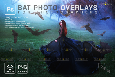 Halloween overlay &amp; Photoshop overlay: Realistic bat clipart, bird ove
