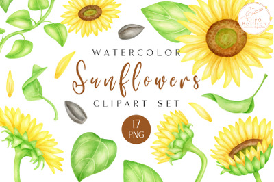 Sunflowers PNG. Watercolor Flowers and Leaves Clipart Set