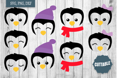 Penguin Faces SVG, Cute Penguin cut files, Little Penguin face SVGs