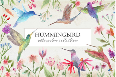 Watercolor Hummingbirds. Cliparts and Patterns
