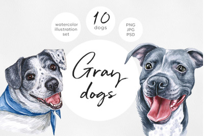 Gray dogs. Watercolor dog set illustrations. Cute 10 dogs.