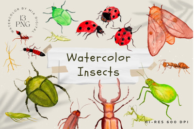 Watercolor Insects Illustration Cliparts, Biological Set