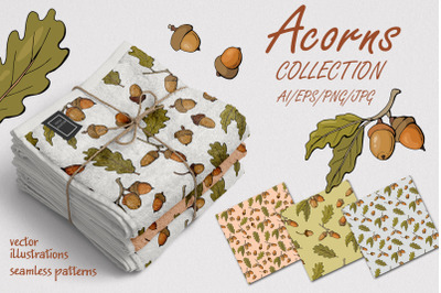 Acorns - collection