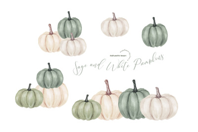 Elegant Sage and White Pumpkins Clipart, Watercolor Fall Pumpkin