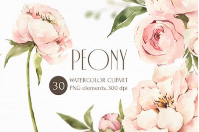 Watercolor Peony clipart. Floral elements, bouquets, wreaths.
