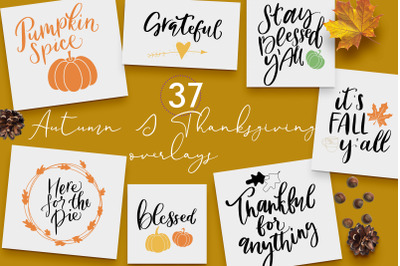 Thanksgiving Autumn lettering and illustrations