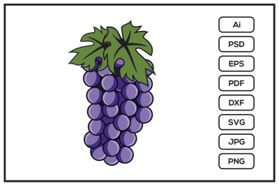 Grape design illustration