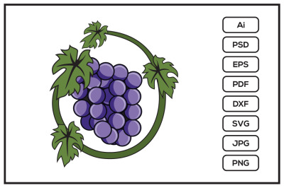 Grape design illustration