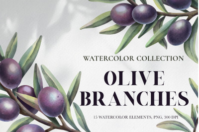 Watercolor Olive branches. Clipart set. PNG elements.