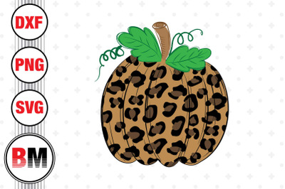 Hand Drawn Pumpkin Leopard SVG&2C; PNG&2C; DXF Files