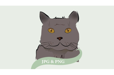 Gray Cat Clipart, Illustration of a Kitten