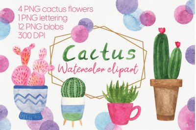 Watercolor cactus clipart, plant PNG