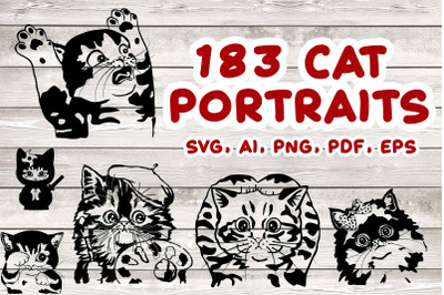 183 Cat Portraits Bundle: Silly Cats, Peeky Cats, Baby Cat, Kitty