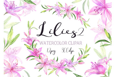 Watercolor purple pink lilies Clipart Floral Clip Art Lily Watercolor