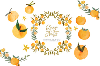 Citrus Orange Fruits Clipart, Greenery Orange Illustration