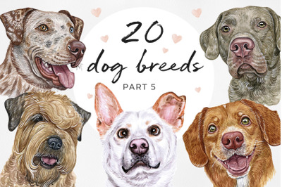 PART 5. Big watercolor illustrations set DOG breed. Cute 20 dogs.