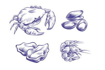 Hand drawn seafoods. Hand drawn oysters and mussels, crabs and shrimps