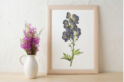 Vintage Blue Flower Illustration