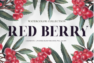 Red berry. 3 Clipart and 2 wreath. PNG