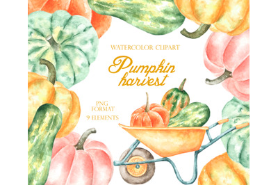 Pumpkin watercolor clipart. Thanksgiving. Fall