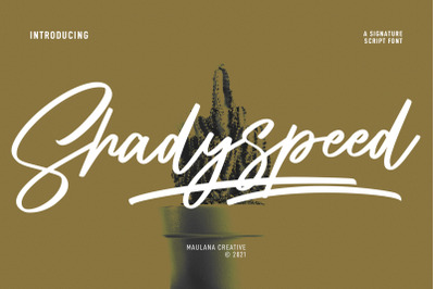 Shadyspeed Script Font