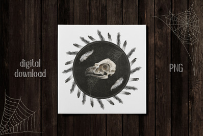 Halloween Raven Skull Print PNG