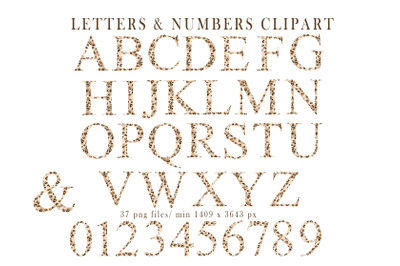Leopard alphabet monogram letters, numbers - 37 png files
