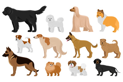 Cartoon puppy dogs breeds pets cute characters. Dachshund, shepherd, m