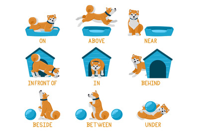 Learning english prepositions with cute cartoon puppy dog. Cute akita