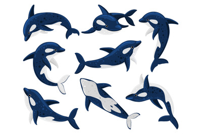 Cartoon orca whales, sea predator killer whale. Sea creature orca whal