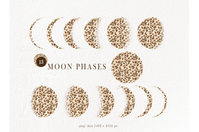 Leopard moon phases sublimation &2F; clipart -13 png files