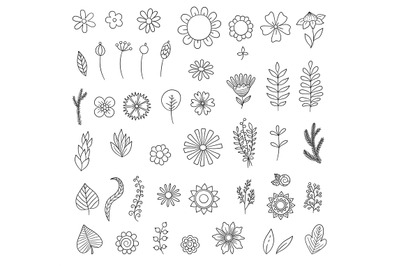 Flowers doodle. Simple floral botanical collection leaves flowers bran