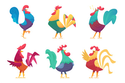 Rooster cartoon. Chicken farm male birds with colored feathers vector