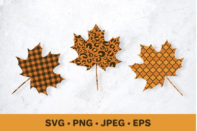 Fall maple leaves SVG.  Buffalo plaid, leopard, arabesque