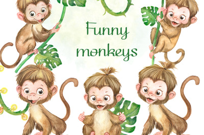 Funny monkeys watercolor clipart, jungle animals, nursery wall art