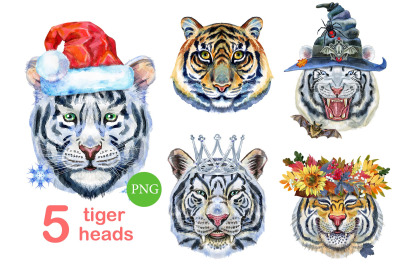 Cute watercolor tigers. Part 1